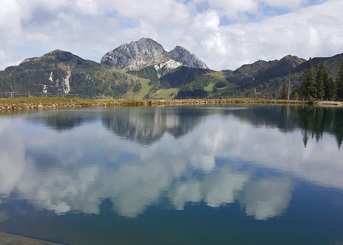 Tropolach photo