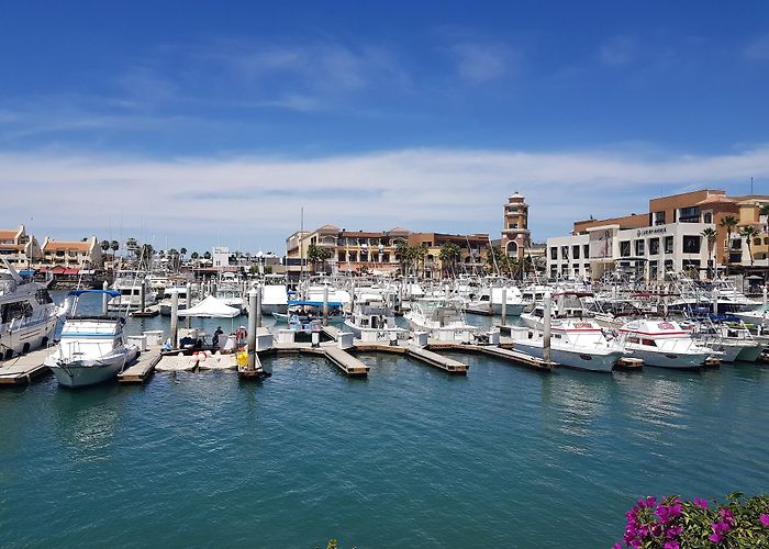 LOS CABOS photo
