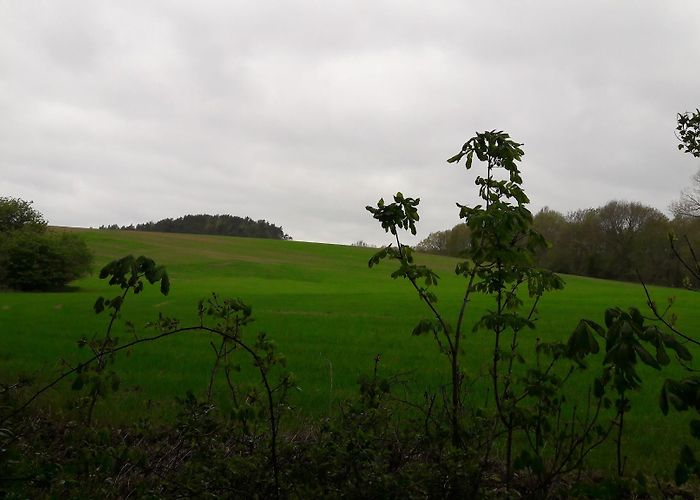 Wolin photo