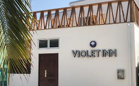 Violet Inn Hotel 다라반두 Exterior photo