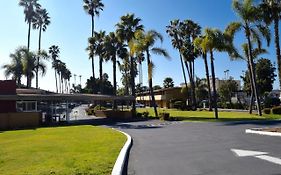 Hotel Palmeras 출라 비스타 Exterior photo