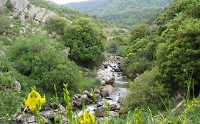 Tourism In The Village Ein Kinya Exterior photo