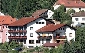 Aparthotel Schwarzwald Panorama 바드윌드바드 Exterior photo