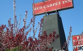 Red Carpet Inn 브룩론 Exterior photo