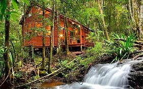 스프링브룩 The Mouses House Rainforest Retreat 빌라 Exterior photo