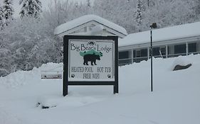 Big Bears Lodge 웨스트 도버 Exterior photo