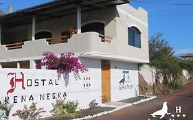 푸에르토아요라 Hostal Arena Negra 아파트 Exterior photo