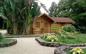 Le Domaine De L Arbre Du Voyageur 호텔 Curepipe Exterior photo