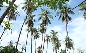 Diakene Ouolof Centre Touristique Et Culturel Casamance 게스트하우스 Exterior photo