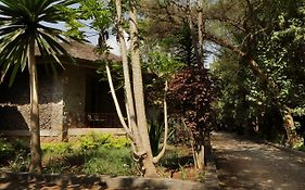 Abay Minch Lodge 바히르 다르 Exterior photo