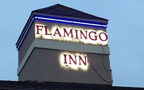 Flamingo Inn 엘크시티 Exterior photo