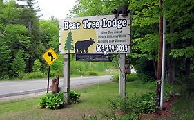 Bear Tree Lodge 위어스비치 Exterior photo
