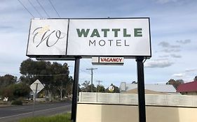 Wattle Motel 시모어 Exterior photo