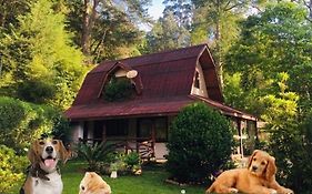 Casa Na Floresta Em Campos Do Jordao 빌라 Exterior photo