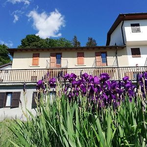 Rifugio Campiglio 호텔 Dumenza Exterior photo