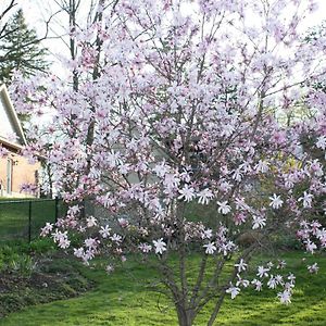 Cayuga Carrousel Bed & Breakfast B&B Exterior photo