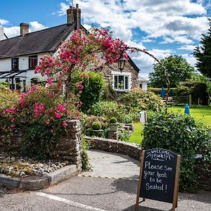 The Greyhound Inn And Hotel 우스크 Exterior photo