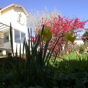 Conques-sur-Orbiel L'Agapanthe B&B Exterior photo