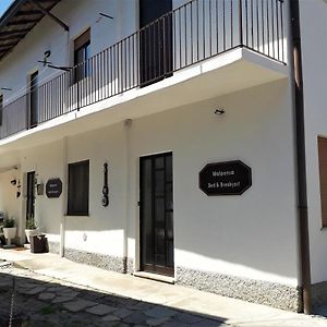 카세 누오베 Malpensa Bed & Breakfast B&B Exterior photo