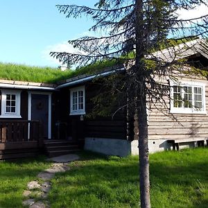 Svingvoll Koselig Familiehytte Sentralt Pa Skeikampen Til Leie 빌라 Exterior photo