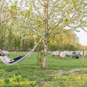 Onstwedde Pipowagen Lidewei Groningen Westerwolde Unieke Ligging Met Eigen Tuin En Vrij Uitzicht Over Veld Naar Natuurgebied B&B Exterior photo