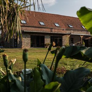 Beloeil Au Petit Canteleu - Bed & Breakfast B&B Exterior photo