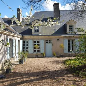 Prunay-Cassereau La Maison Celadon B&B Exterior photo