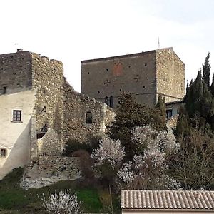 Chateau De Pieusse B&B Exterior photo