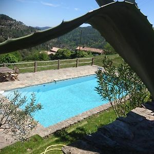 Saint-Martin-de-Boubaux Le Mercou En Cevennes B&B Exterior photo