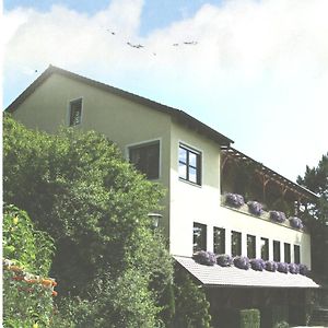 Landgasthaus Zum Erlengrund 호텔 Emskirchen Exterior photo