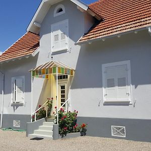 Offendorf Au Berceau Du Loup Agile B&B Exterior photo