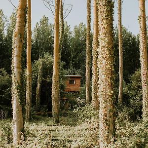 Anguciana Bonita Cabana De Los Arboles En La Rioja , Durmiendo Entre Arboles 아파트 Exterior photo