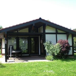 왈드브룬 Detached, Tidy Bungalow On Katzenbuckel Mountain 빌라 Exterior photo