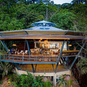 La Loma Jungle Lodge And Chocolate Farm 보카스 타운 Exterior photo