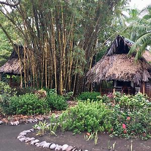 Cabinas Los Cocos 호텔 Zancudo Exterior photo