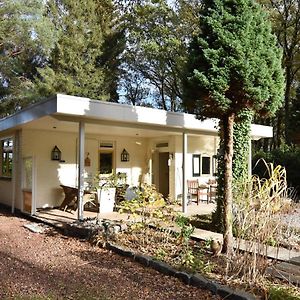 Wateren A Detached Bungalow With Outdoor Fireplace Covered Terrace And Pond In A Forest Plot 빌라 Exterior photo