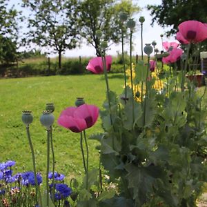 Lahosse Le Gite De La Grange De Broustic B&B Exterior photo