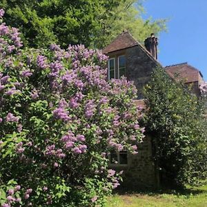 차드 Beautiful Converted Stable In Peaceful Somerset, Close To The Jurassic Coast 아파트 Exterior photo