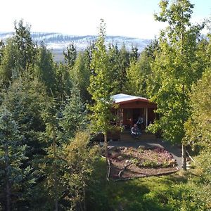 아퀴레이리 Bakkakot 1 - Cozy Cabins In The Woods 빌라 Exterior photo