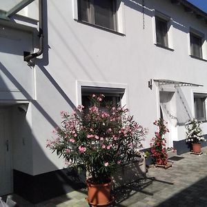 Niederkirchen bei Deidesheim Ferienhaus Fam. Bisgen 아파트 Exterior photo