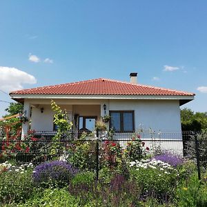 House Albena 호텔 두란쿨라크 Exterior photo