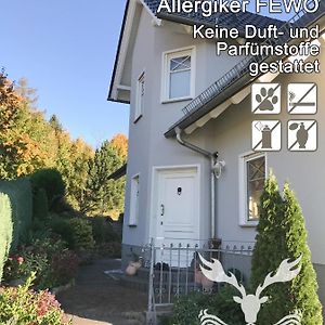 Mertendorf Duft- Und Parfuemfreie Allergiker-Fewo 아파트 Exterior photo