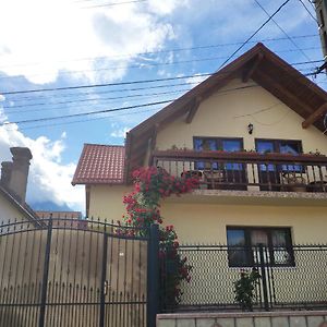 Casa Piatra Craiului 호텔 Zărneşti Exterior photo