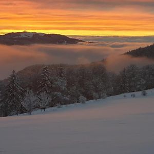 Werdtberg 호텔 Moutier Exterior photo