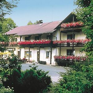 Landhaus-Pension Zum Waffenschmied 호텔 브란트 Exterior photo