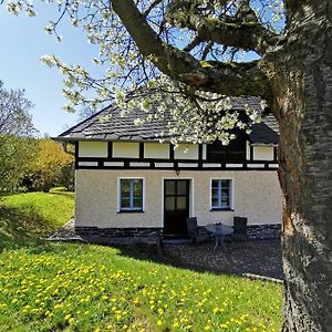 Ferienwohnung "Am Saalehaken" Gossitz Exterior photo