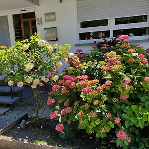 Helmsheim Gaestehaus Eissler 아파트 Exterior photo