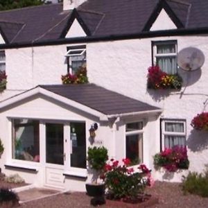 Castlemaine House B&B Exterior photo