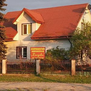 Urszulin  Gospodarstwo Agroturystyczne Lucynka 빌라 Exterior photo