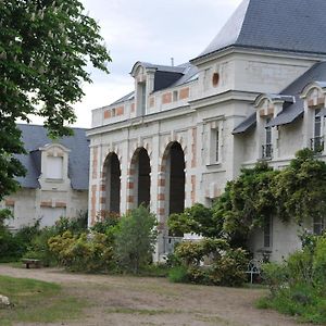 Brain-sur-Allonnes L'Orangerie Du Chateau - Le Nid - Gite 2 Personnes 아파트 Exterior photo